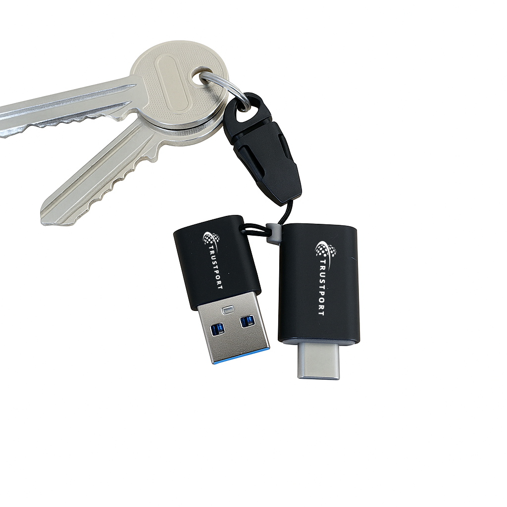 Impact of Risk chart